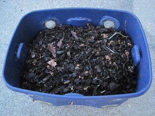 Compost Dirt
